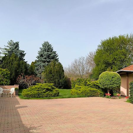 Korona Panzio Bed and Breakfast Balatonberény Eksteriør billede