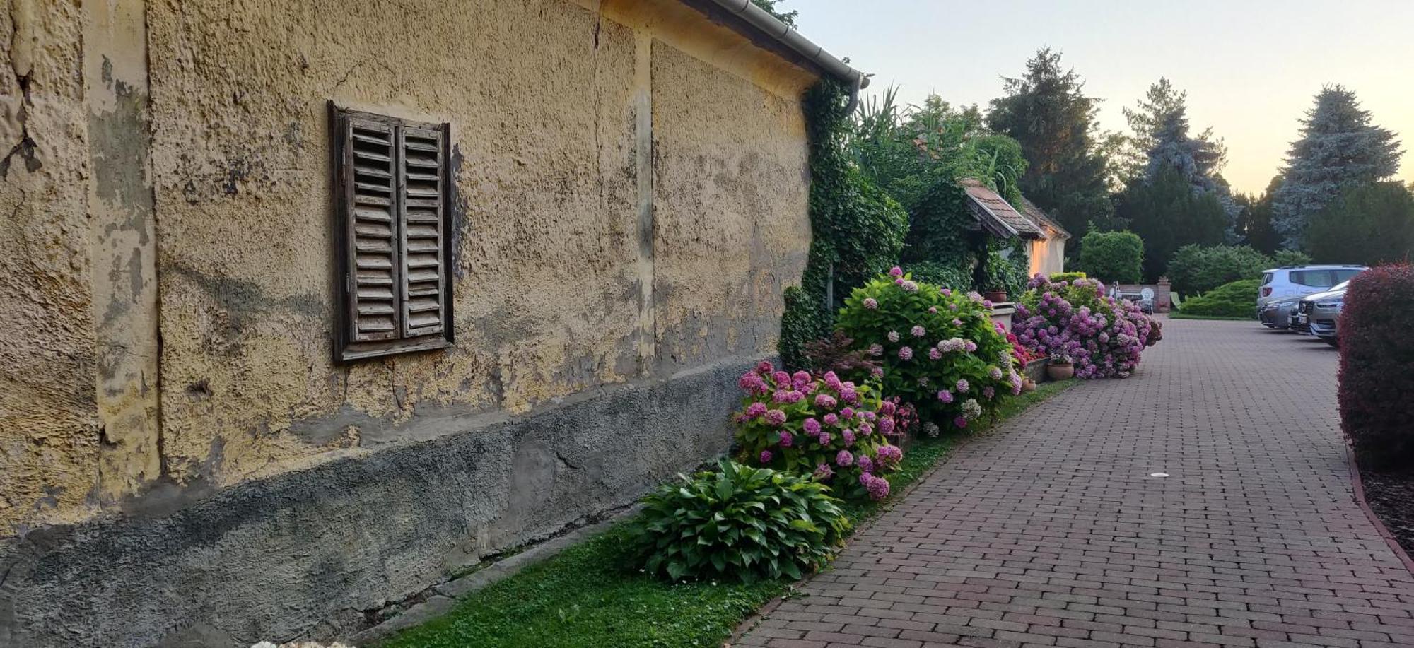 Korona Panzio Bed and Breakfast Balatonberény Eksteriør billede