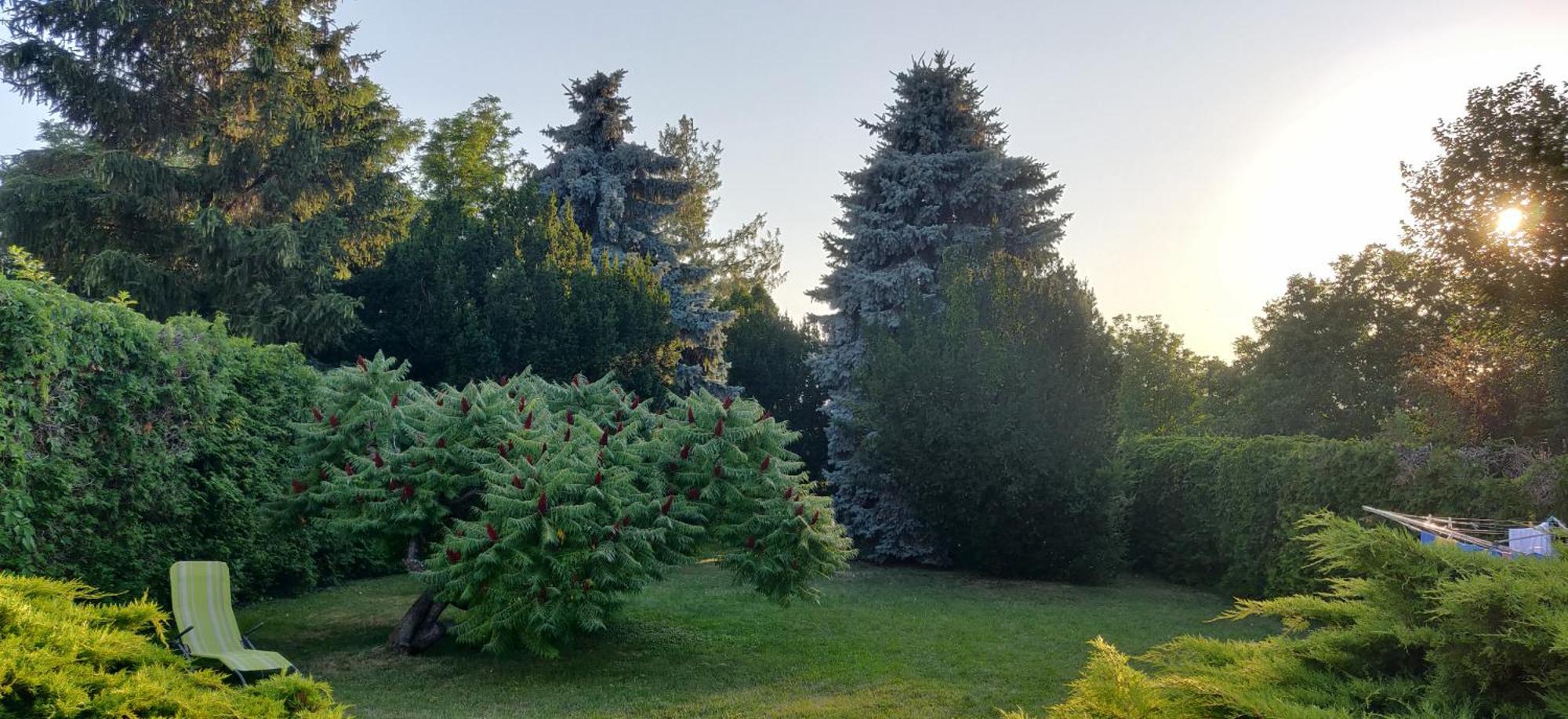 Korona Panzio Bed and Breakfast Balatonberény Eksteriør billede