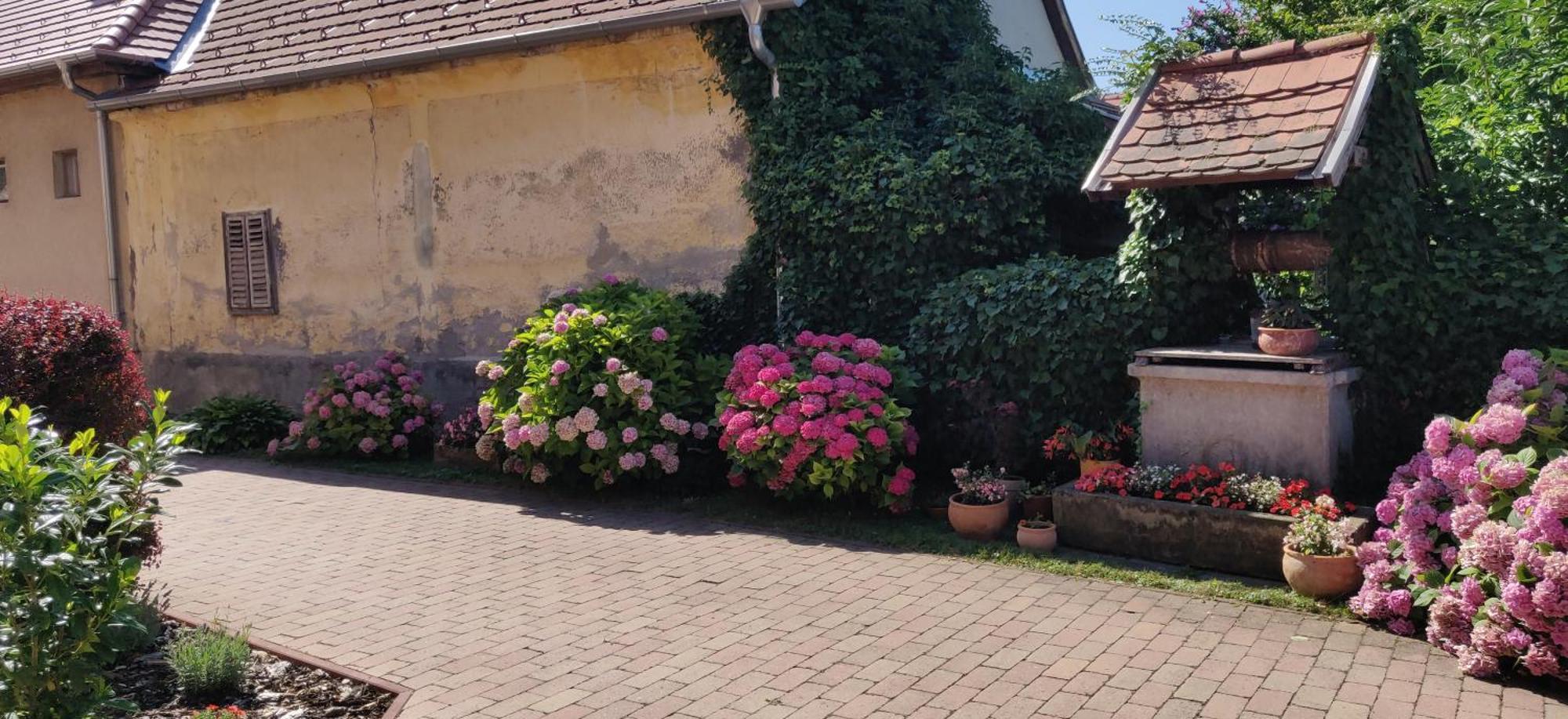 Korona Panzio Bed and Breakfast Balatonberény Eksteriør billede